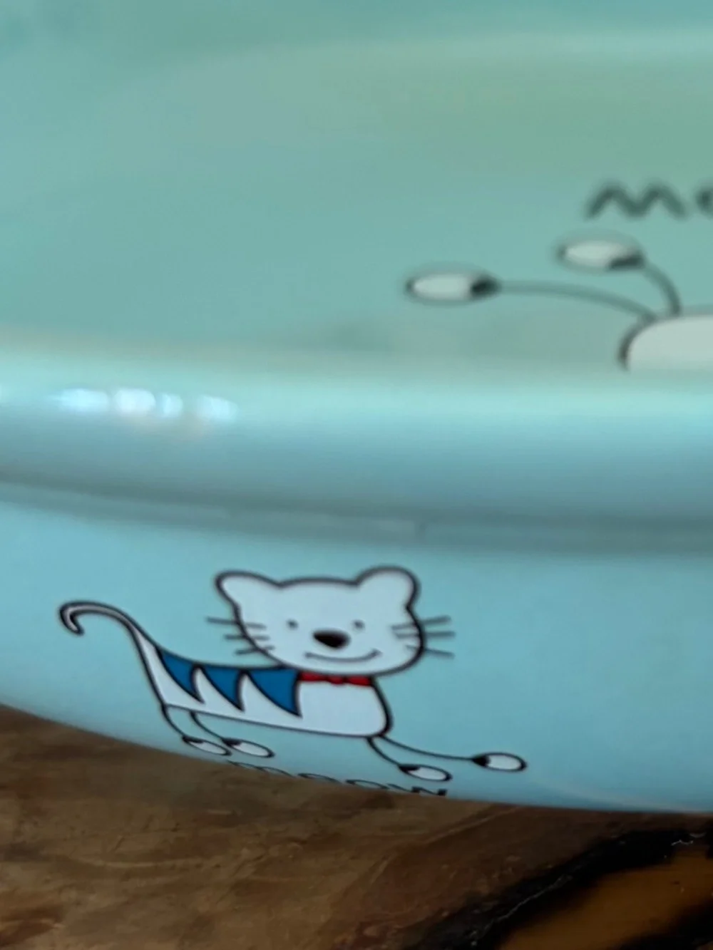 🐱 Whisker City “Meow” Cat Dish Bowl | Aqua Blue Ceramic Pet Bowl 🩵💚